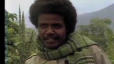 The War in Eritrea 1978